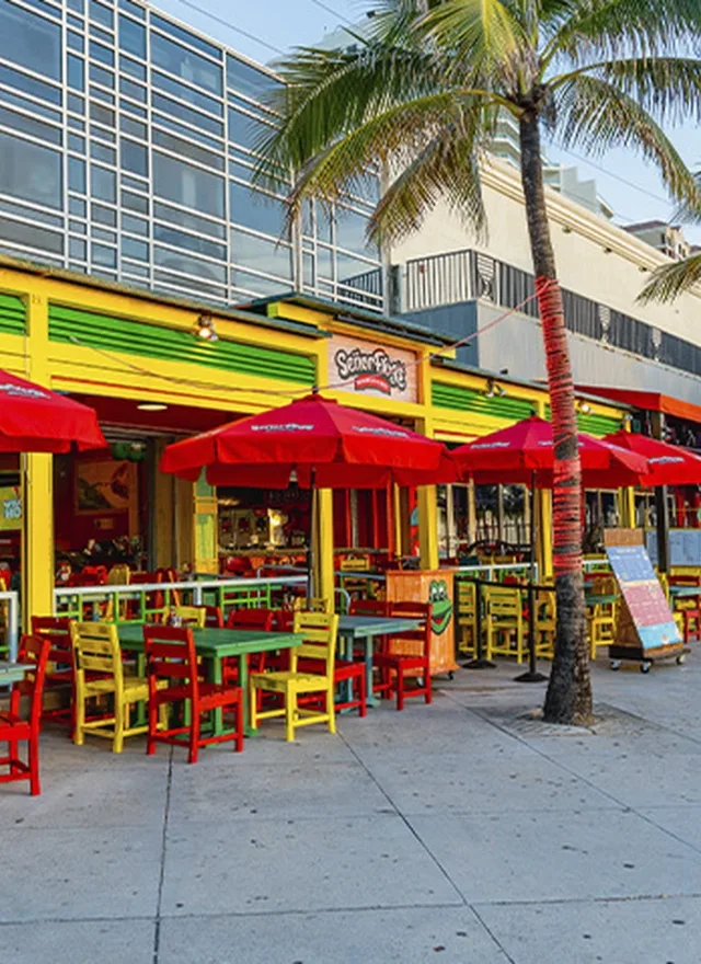 Señor Frog's