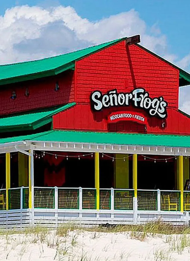 Señor Frog's