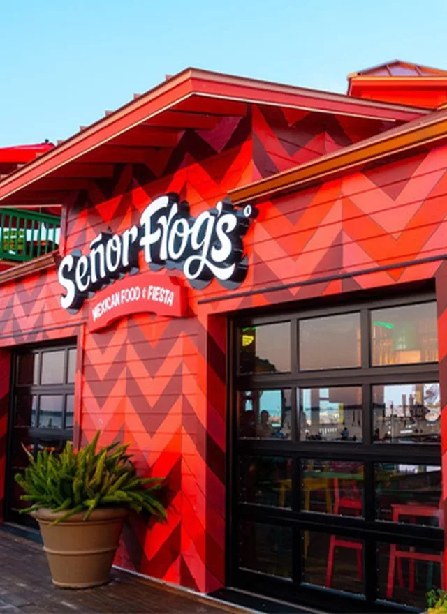 Señor Frog's